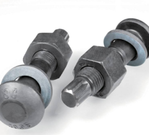 BULONG TỰ ĐỨT S10T