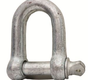 Mani U