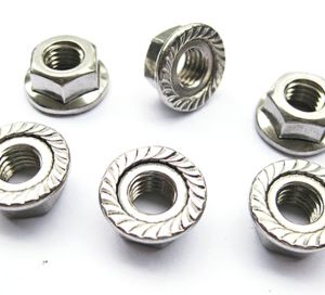 TÁN BÔNG / ĐAI ỐC LIỀN LONG ĐỀN - DIN 6923